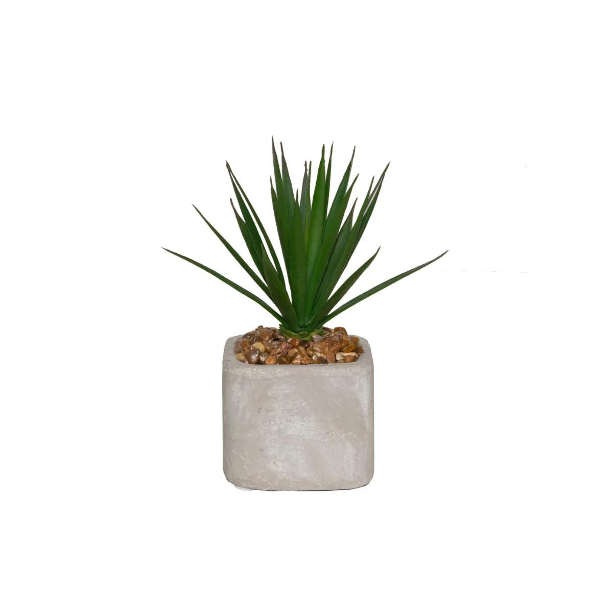 Stone Pot Succulents