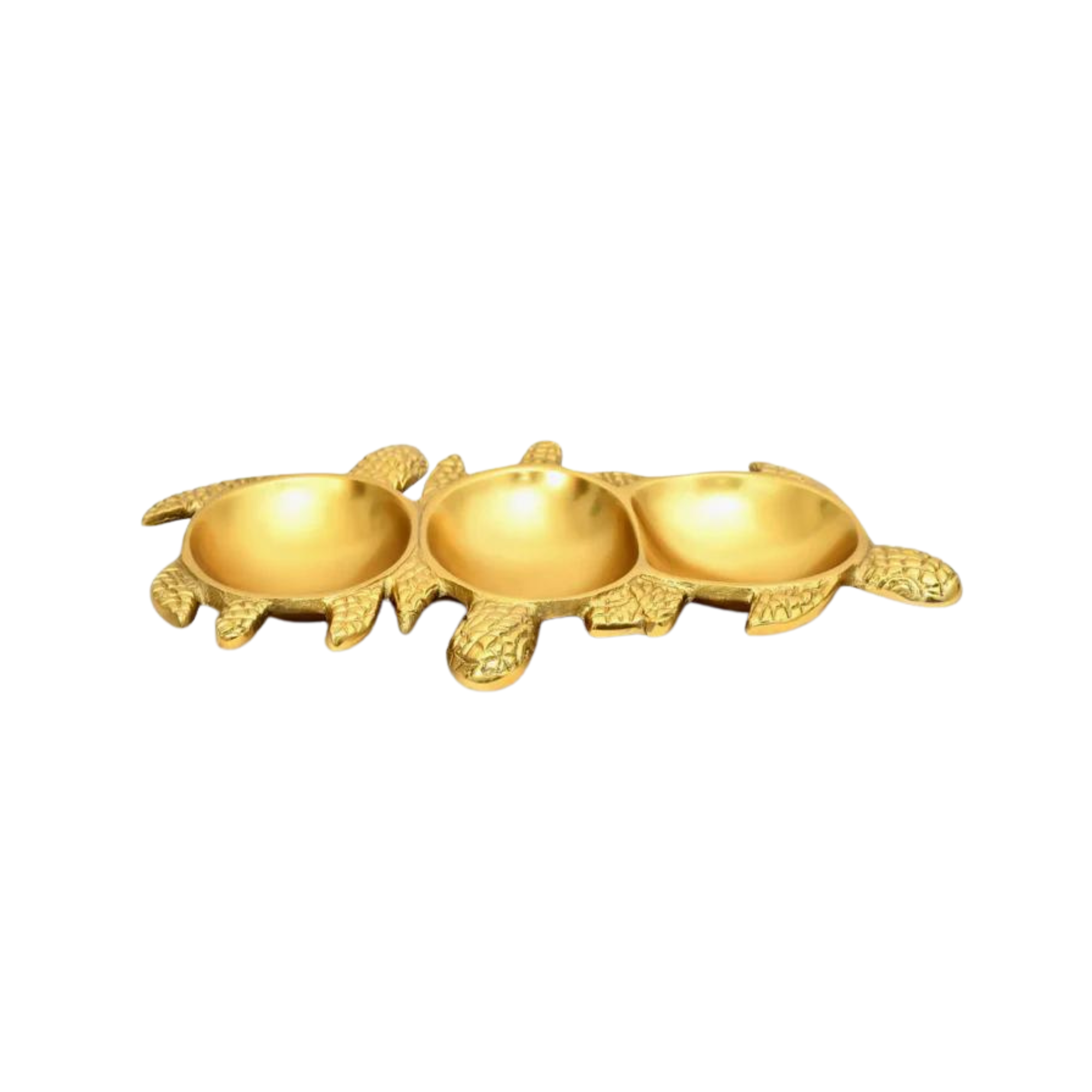Sea Turtle Tray