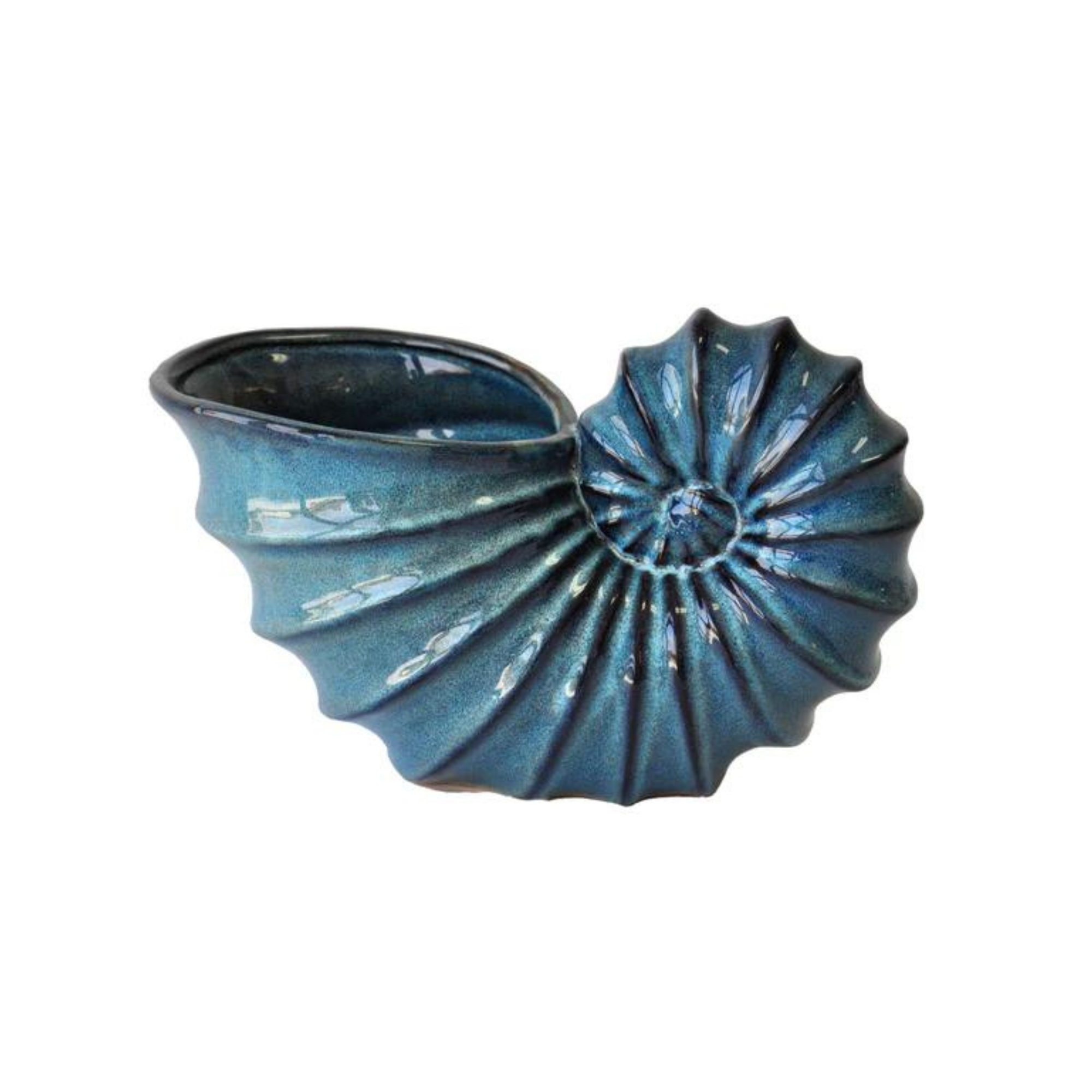 NAUTILUS VASE