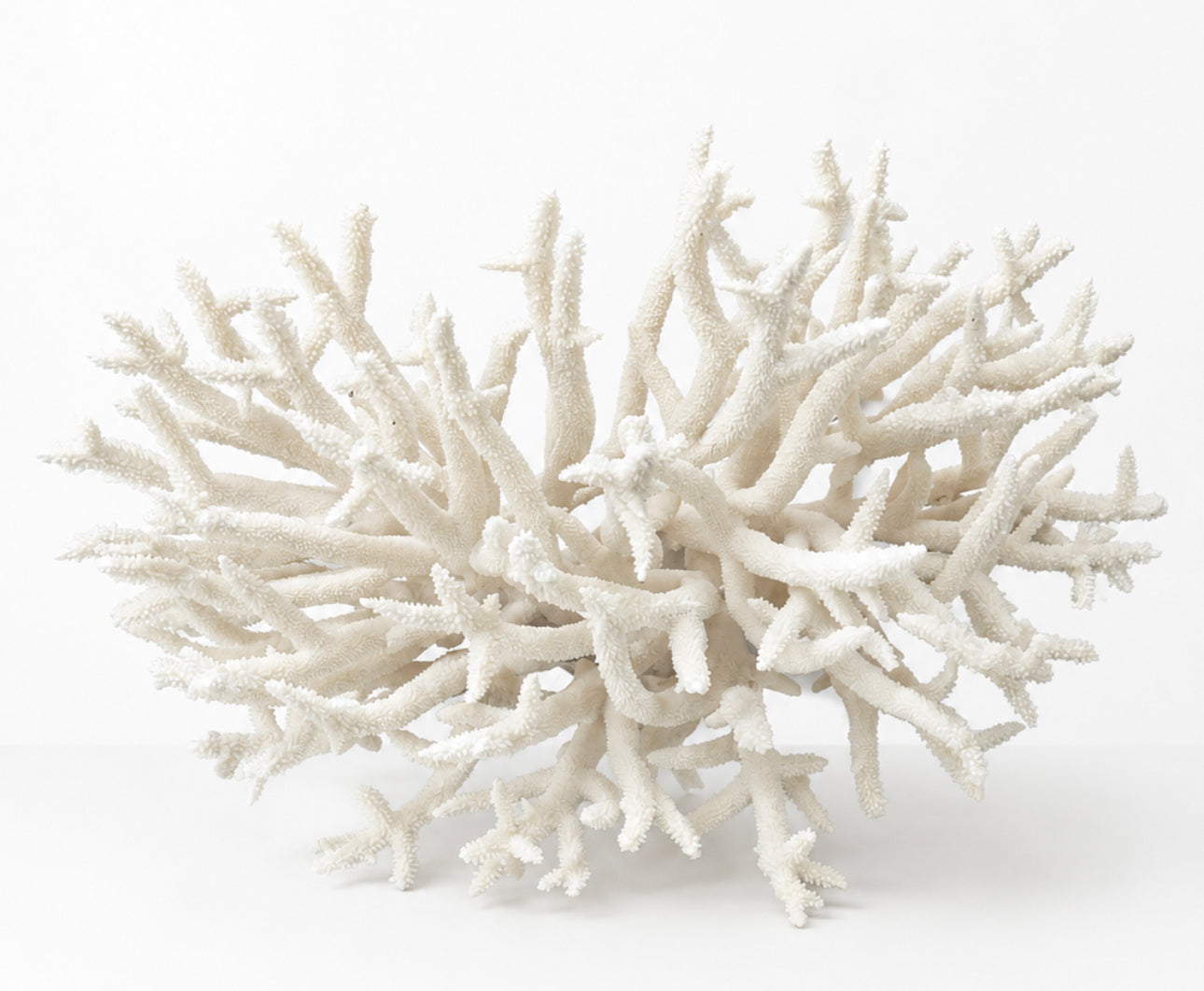 Ocean Crest Coral Sculpture