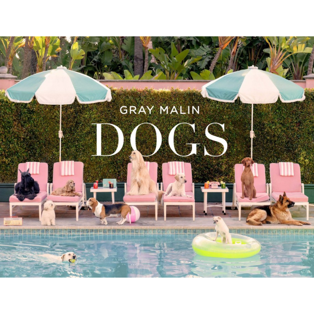 Gray Malin: Dogs