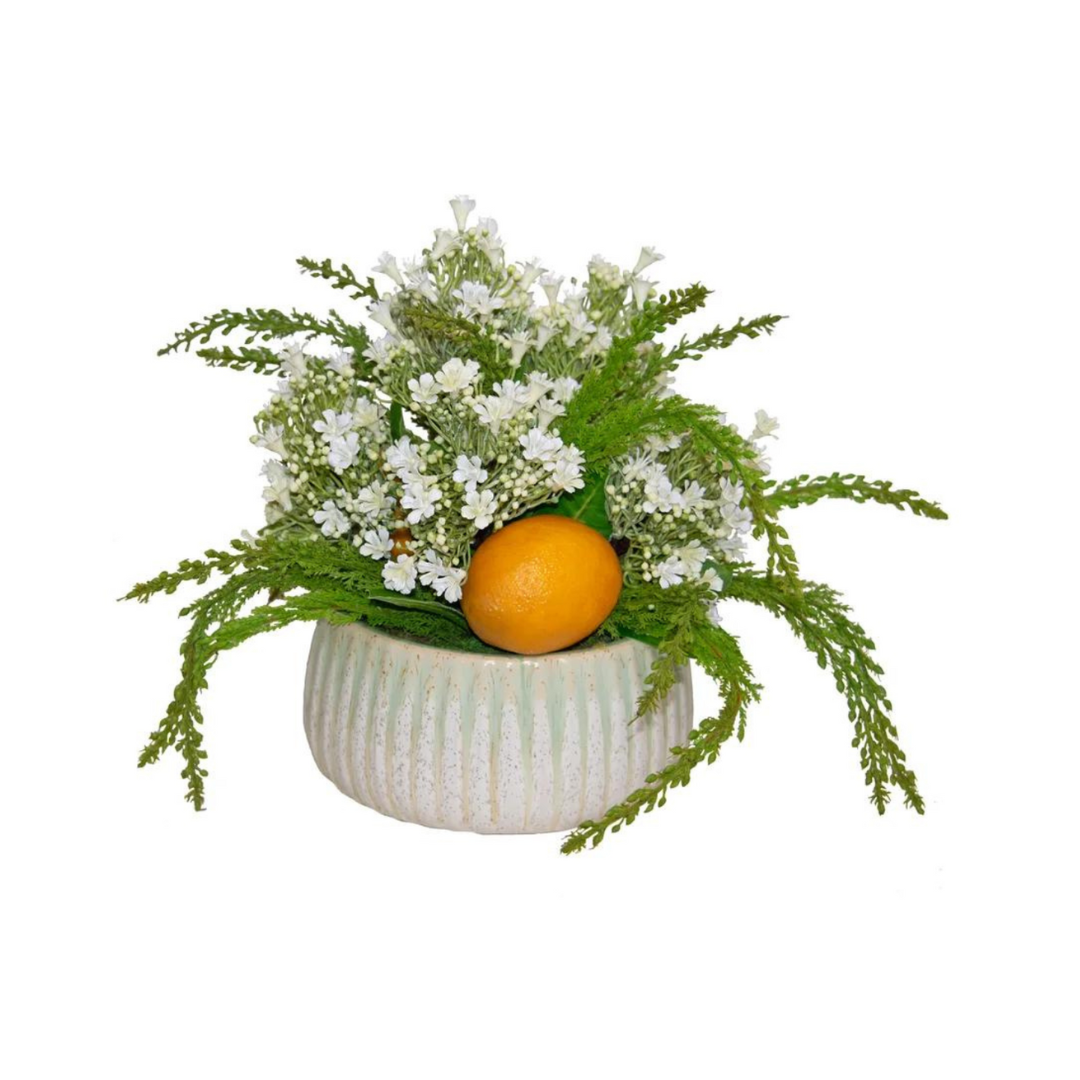 Lemon Blossom In Pot