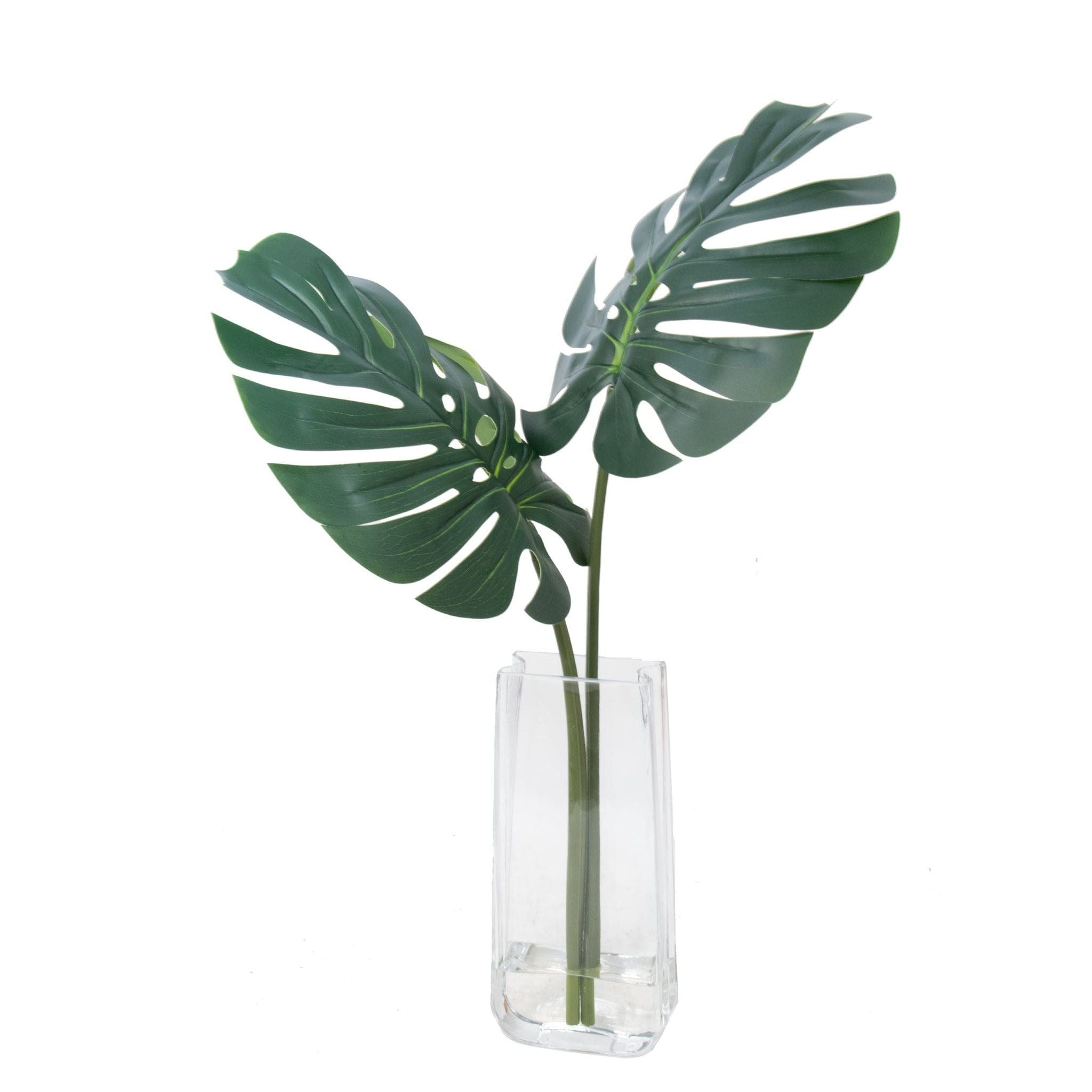 Tall Glass w/ Spilt Leaves
