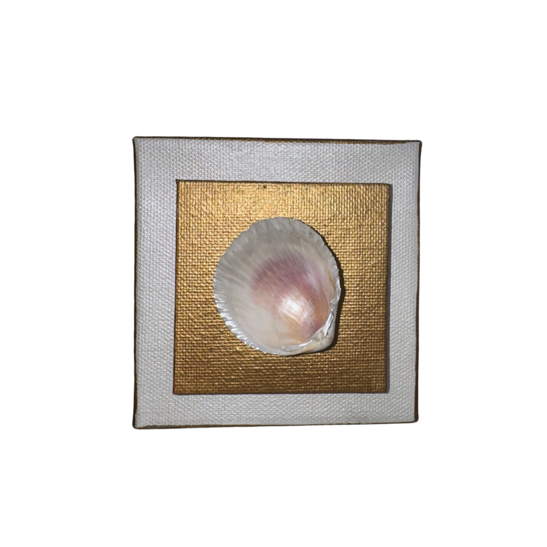 Mini Shell Canvas