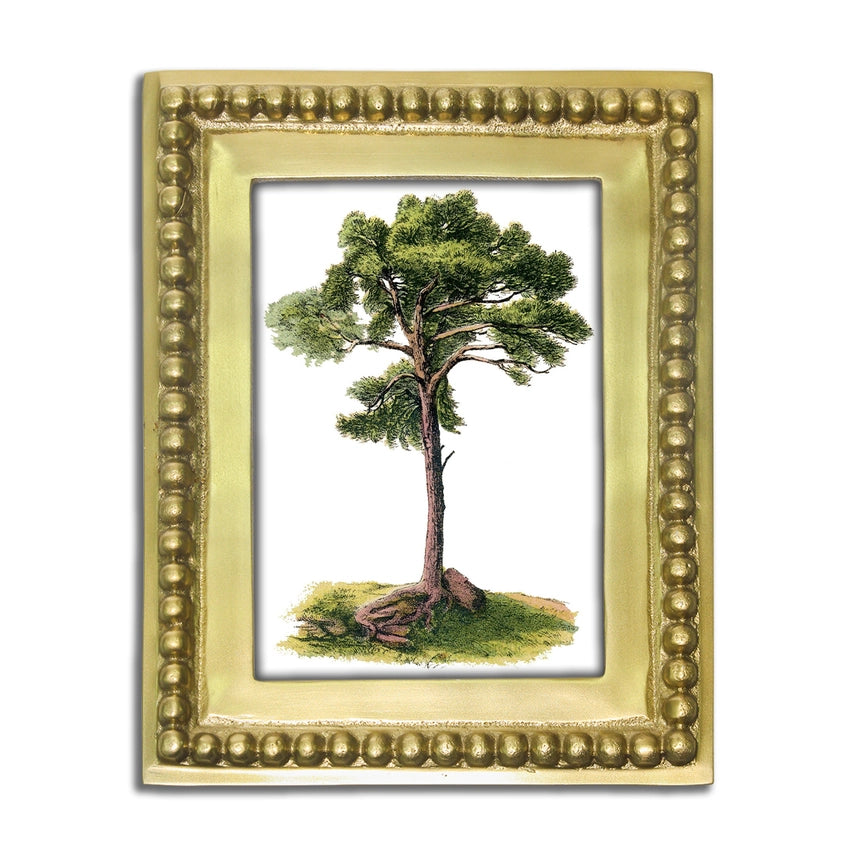 Gold Beaded Frame