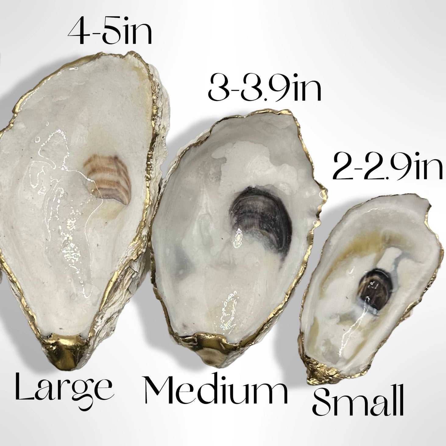 Natural Oyster Shell Wine Stopper - Gold Rim