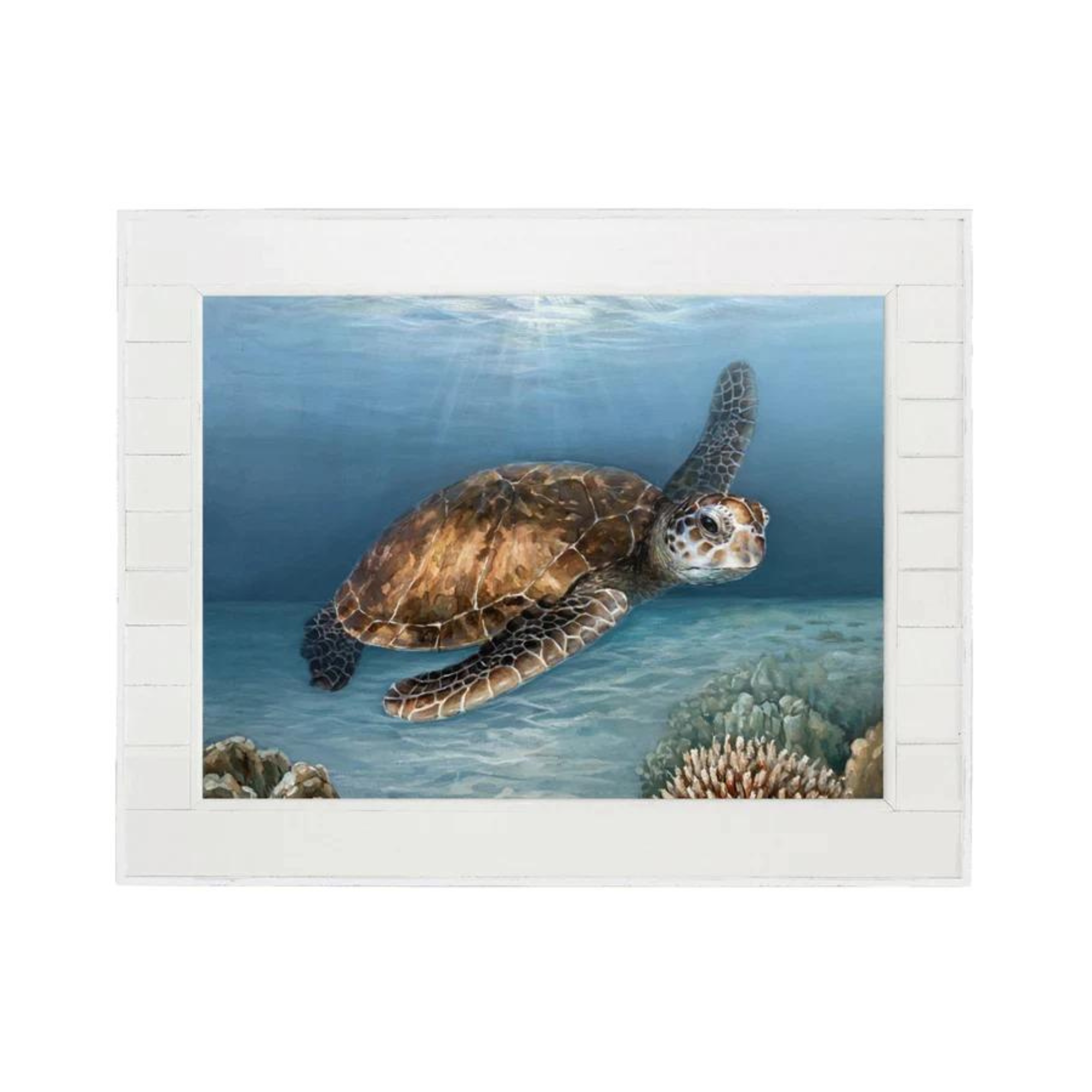 Shiplap Framed Turtle