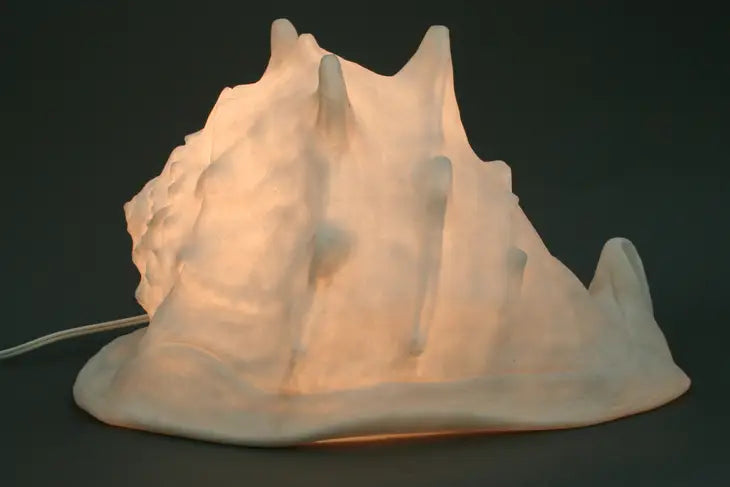 Sandstone Helmet Shell Lamp