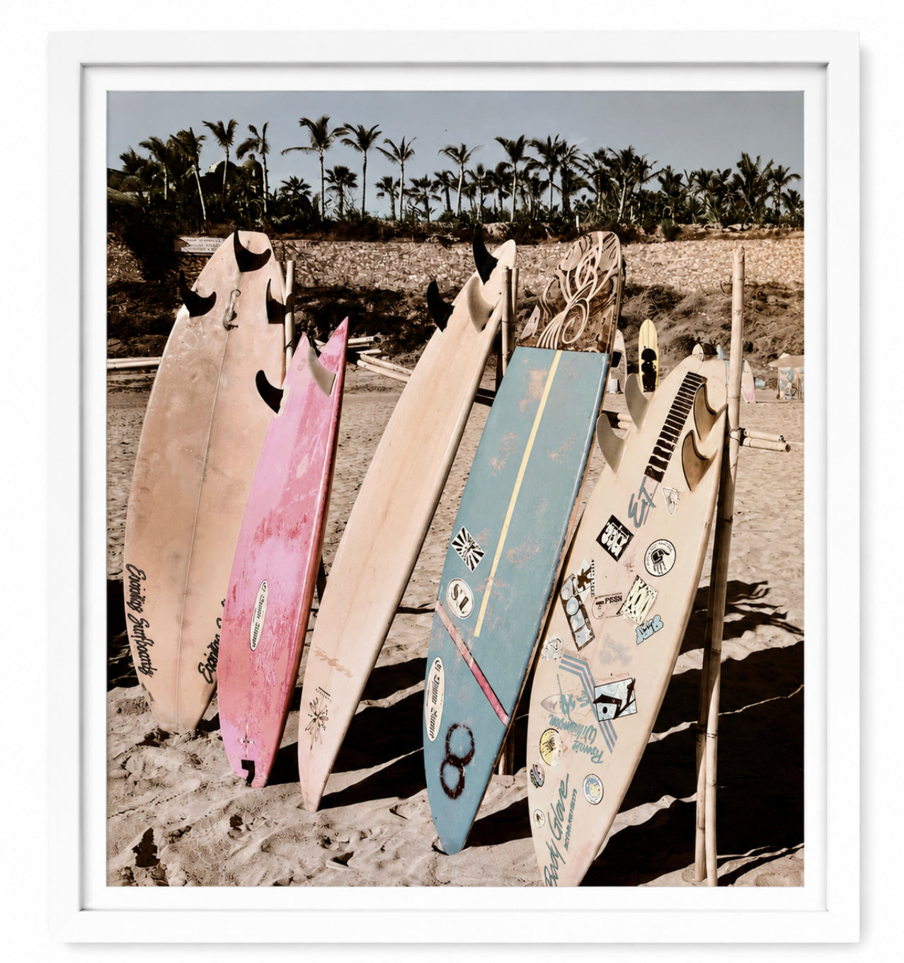 Surf Lineup