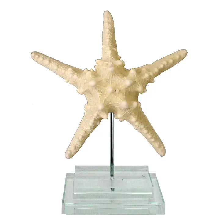 Starfish on Glass Base