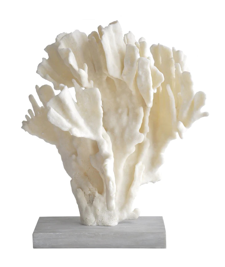 White Caribbean Faux Coral