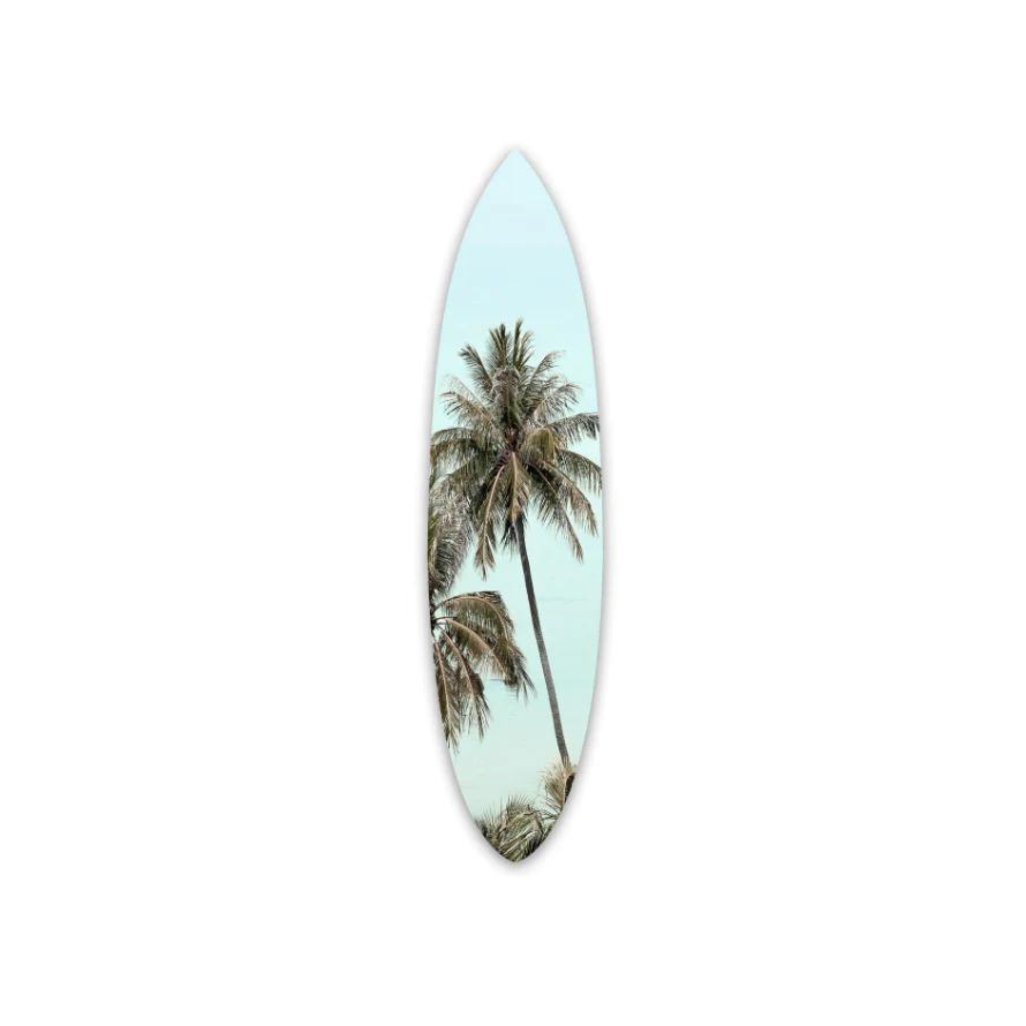 Palm Surfboard