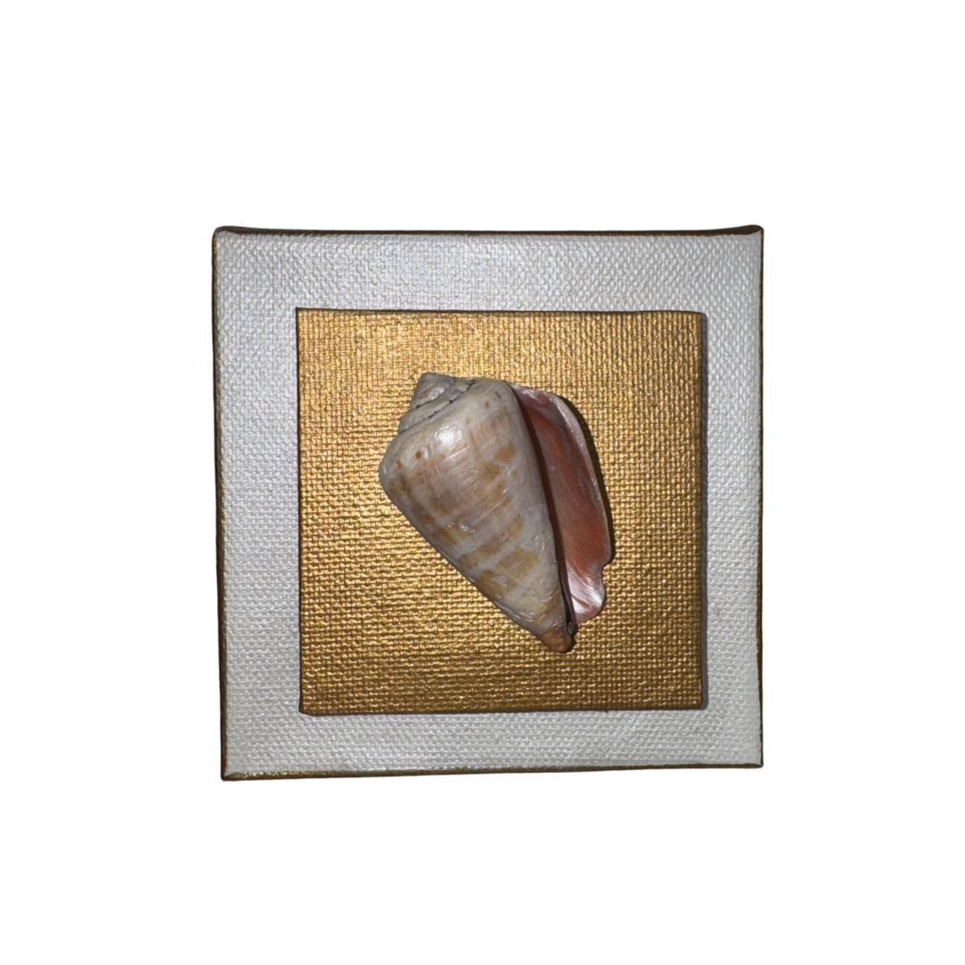 Mini Shell Canvas
