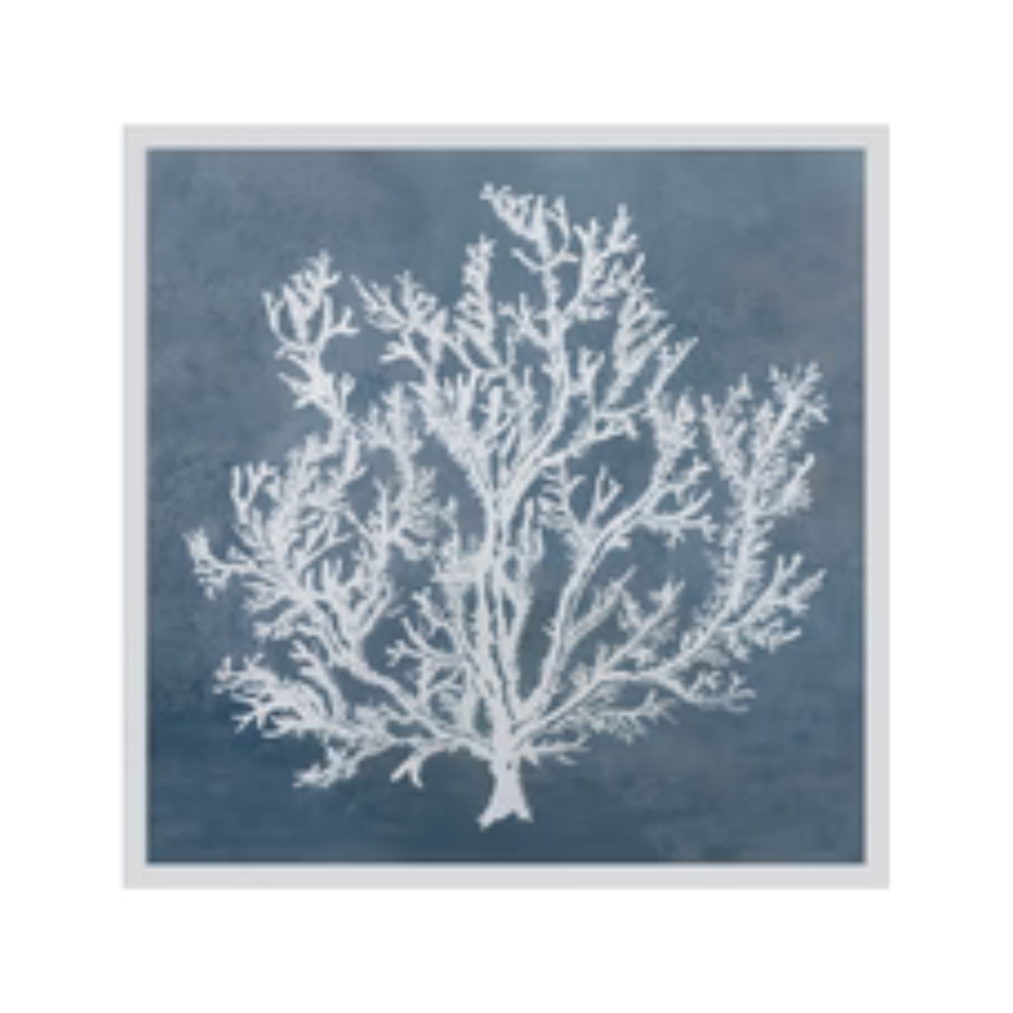 SEA FAN ll