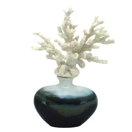 Coral on Ceramic Vase