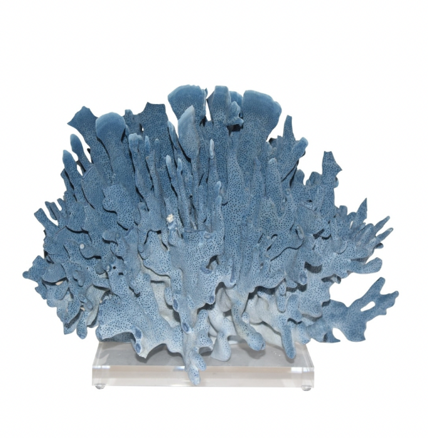 Natural Blue Coral