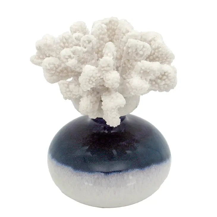 Coral on Ceramic Vase